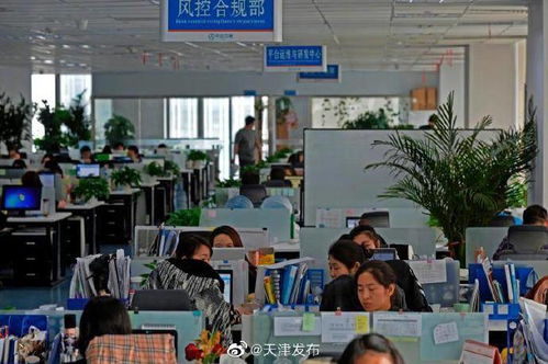 中企云链 以创新金融科技服务安心扎根，以信息技术咨询服务舒心发展