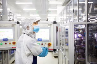 你没见过的动力电池智慧工厂模样——法兰克福技术沙龙探讨信息技术咨询服务